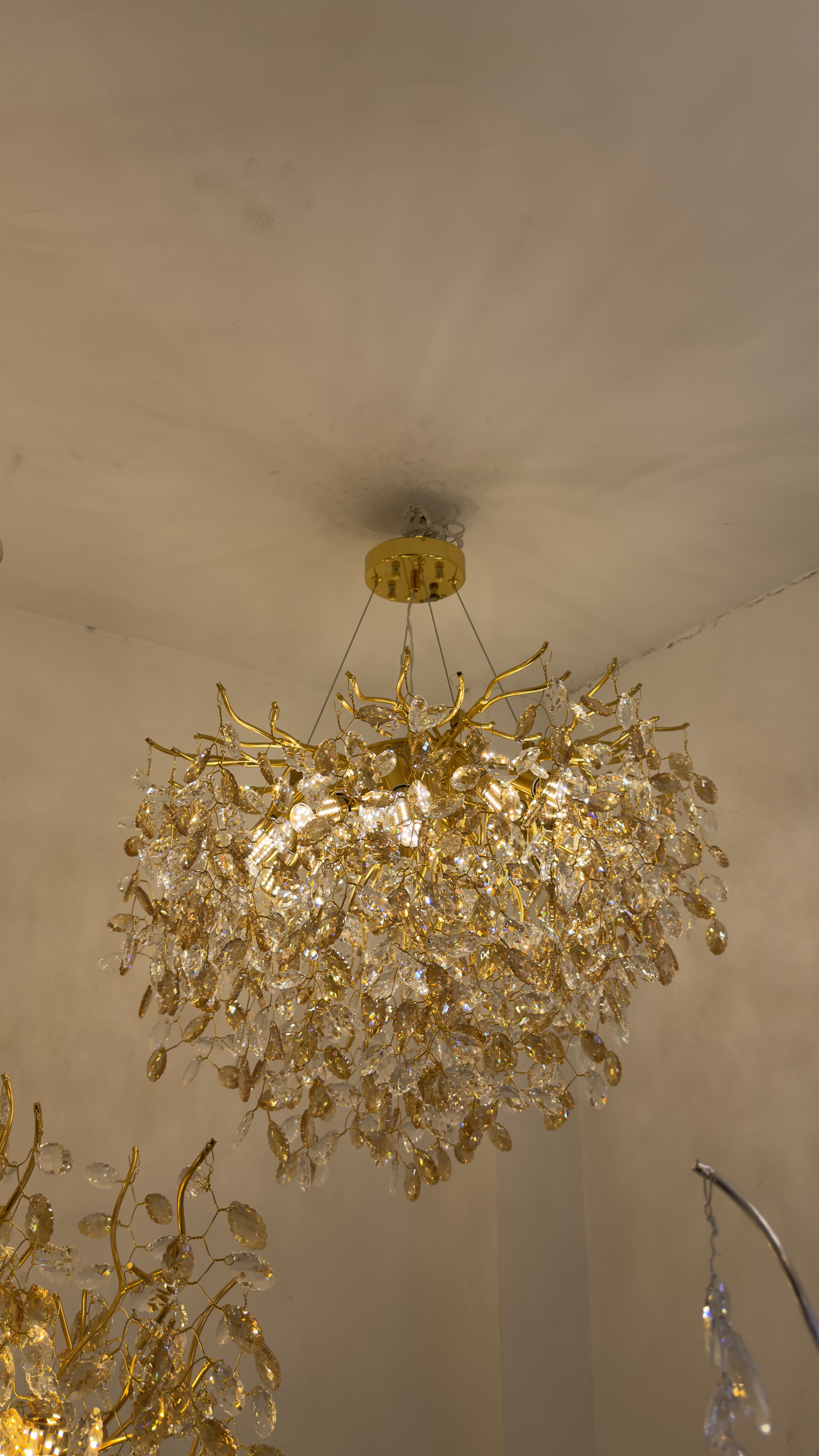 ثرية شرشب 
